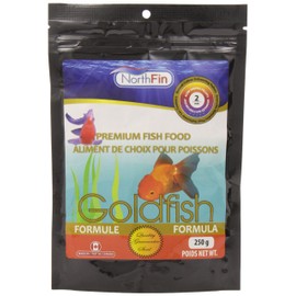 Northfin Goldfish