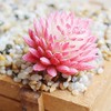 BCP 4 Pcs Artificial Mini Succulents Cactus Plant Flower DIY