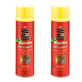 GREAT STUFF Gaps & Cracks 20 oz Insulating Foam Sealan (2)
