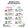 Hidrolato De Eucalipto