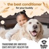 Buddycare Acondicionador De Avena para Perros(16.90 Oz) Elaborado con Aloe
