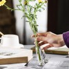 Small Flower Vase Transparent Mini Opening Single Stem Vases Flower