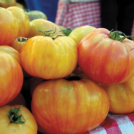 Organic Tomato Seeds, APPR. 30, Copia Gold Beefsteak Tomato, Heirloom Vegetable Seeds, Certified Organic, Non GMO, Non Hybrid, USA