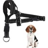 Dog Head Halter with Reflective Soft Padded Adjustable and Easily