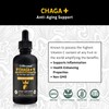 LIFE CYKEL Chaga Mushroom Extract with Kakadu Plum- 100% Organic