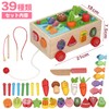 Multi-functional Montessori Educational Toy - Wooden Mold, Fishing, String String