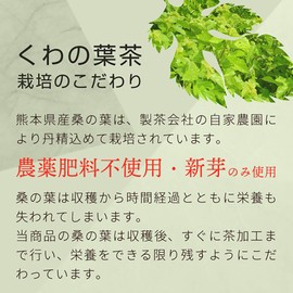 nichie Mulberry Leaf Tea from Kumamoto Prefecture, Tea Bags, 0.07 oz (2 g) x 40 Packs