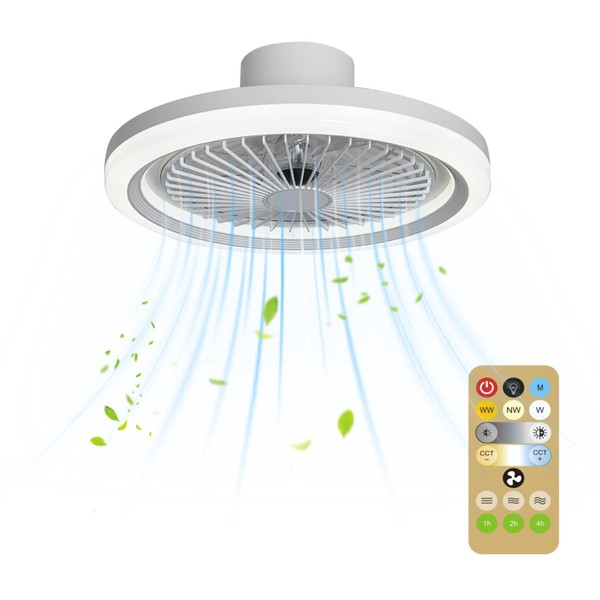 Ceiling Light with Fan, Lamp with Fan, Ceiling Fan with