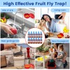 Fruit Fly Trap Refills Liquid Only 12 Pack,Fruit Fly Gnat