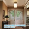Brushed Nickel Hallway Light Fixtures Ceiling 1-Light Semi Flush Mount