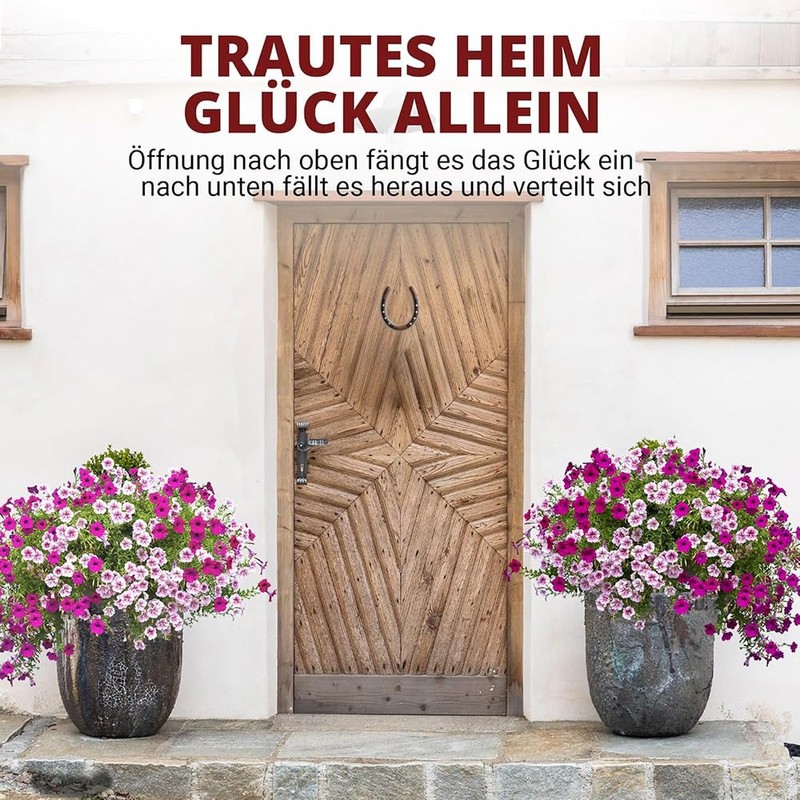Hufeisen Glücksbringer, Einzugsgeschenke Wohnung, Glücksbringer Silvester, Neujahrsglücksbringer mit kleiner Schachtel,