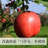 自然健康社 アップルパウダー 400g×2個 りんご 粉末 業務用