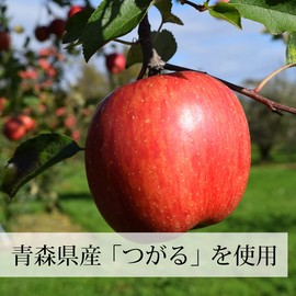 自然健康社 アップルパウダー 400g×2個 りんご 粉末 業務用