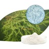 Esponja hidrolizada de agua dulce Spongilla Spicule 99% Acondicionadora de