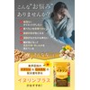 santelife Inulin Plus Inulin, High Formulation, 50,000 mg GABA, 3000