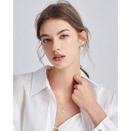 FANCIME Moonstone Necklace June Birthstone Necklace for Women Yellow Gold Plated Sterling Silver Infinity Pendant Fine Jewelry Mothers Day Birthday Christmas for Her Women