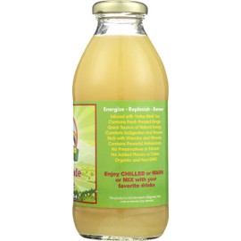 Big Island Organics Gingerade Maté - 16oz (12pk)