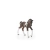 Schleich Trakehner Foal Toy Figure
