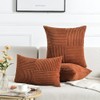 Fancy Homi 2 Packs Rust Big Decorative Throw Pillow Covers