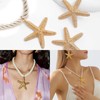 Nayyana Boho Gold Jewellery Set Starfish Pendant Necklace Earrings Set