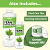 Fern Fertilizer for All Ferns and Mosses, Liquid Plant Food