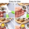 iZhuoKe Quail Egg Scissors, Pigeon Egg Scissors, Egg Scraper, Home
