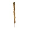 Moss Pole Coconut Stick DIY Modeling Plant Climbing Pole Climbing