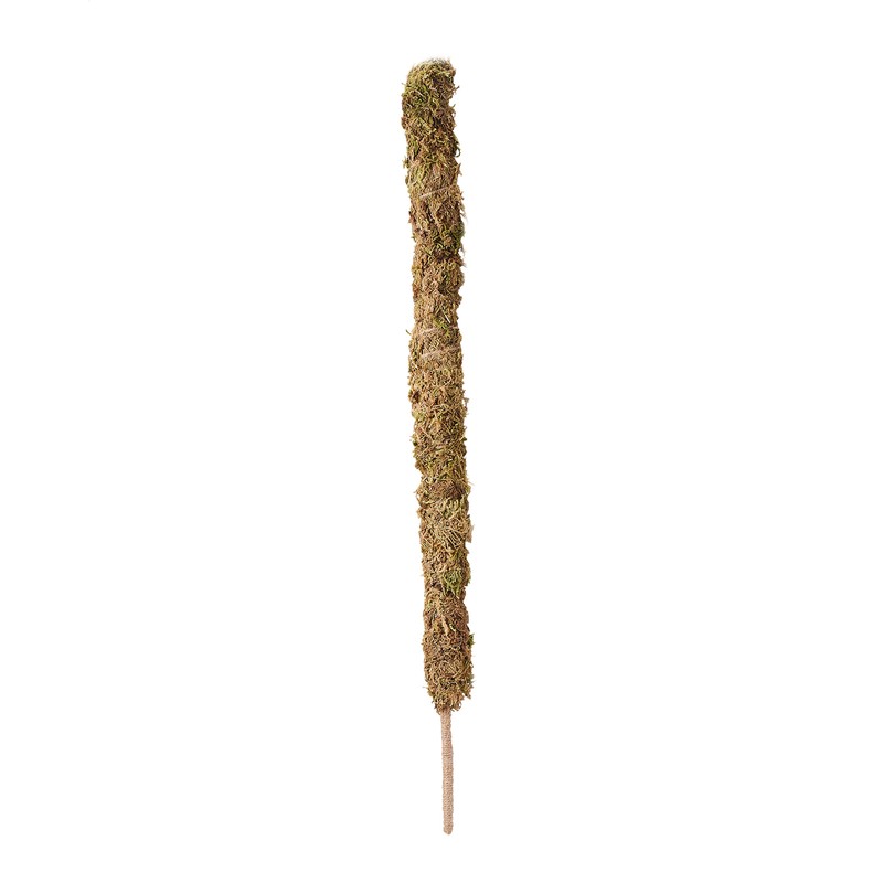 Moss Pole Coconut Stick DIY Modeling Plant Climbing Pole Climbing