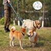 3 in 1 Durable Nylon Dog Leash with Padded Handle,