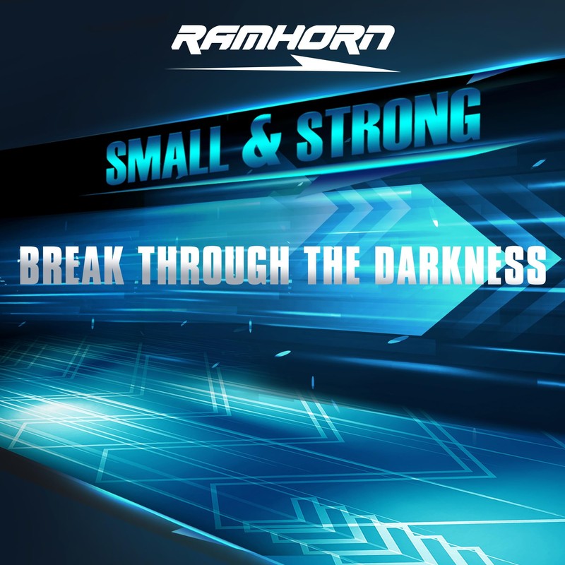 RAMHORN H11 Light Bulbs, H8 H9 Light Bulbs 500% Brightness