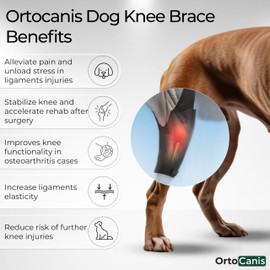 Ortocanis - Knee Brace for Dogs with ACL Injuries, Patellar Luxation or Osteoarthritis, X-Mini, Right Leg