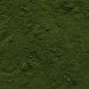 Chlorella Spirulina Powder Organic 100 g - Algae Blend -