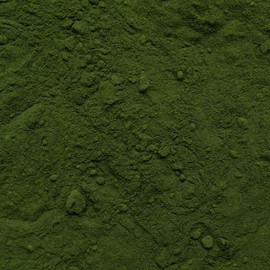 Chlorella Spirulina Powder Organic 100 g - Algae Blend - Vegan - Chlorella Vulgaris Algae - Bottled and Controlled in Germany Biotiva