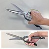 Kinboshi 3221 Venus Leaf Cutting Shears (Metal Stop) 10.6 inches