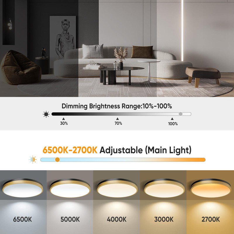 Lightania 15 Inch Flush Mount Ceiling Light with Remote Control