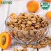 SAREKS Bitter Apricot Kernels Organic Raw (10oz),%100 USDA Organic Certified