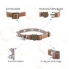 Spiked Cat Collar with Bells, Breakaway Genuine Leather Protective Collar