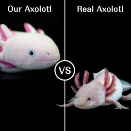 Pequeño corazón axolotl peluche, animal de peluche, lindo juguete de peluche realista Ambystoma, regalos para niños, 20 pulgadas de largo