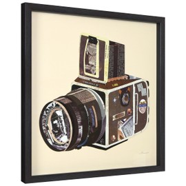 Empire Art Direct Dimensional Collage Framed Graphic Paper Under Glass Wall Art by Alex Zeng Ready to Hang, 25" x 25", SLR Camera