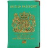 HITHIKA British Passport Holder | UK Passport Wallet | Non EU | PU Leather (Green)