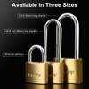 XTUFF Solid Brass Padlock with 6 Same Keys, Keyed Alike