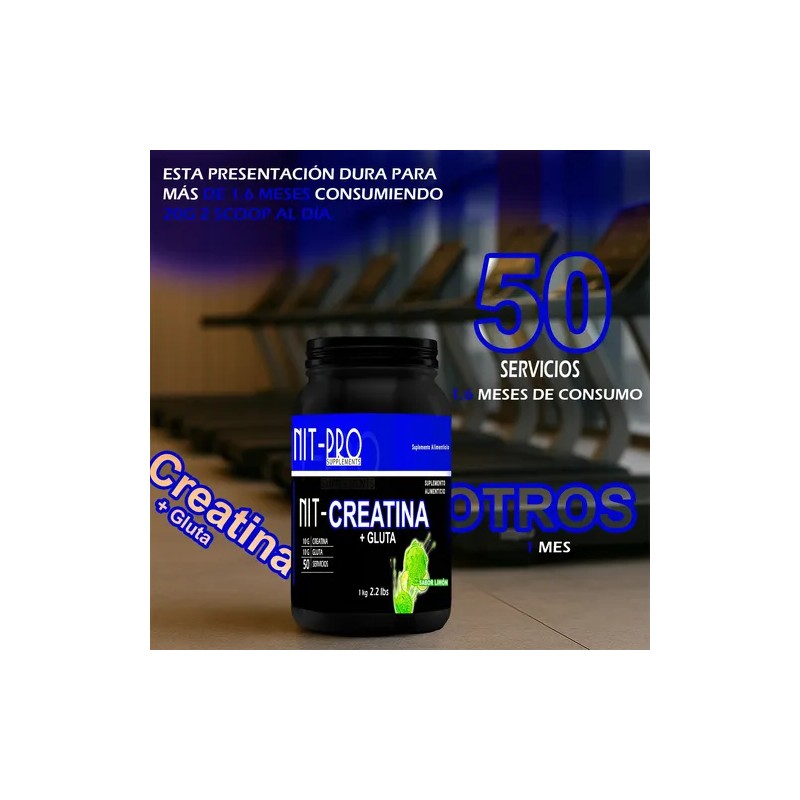Suplemento Creatina + Glutamina Nit-pro 1kg En Polvo Sabores