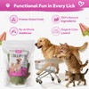 Whiskopia Freeze-Dried Dog & Cat Treats with Watermelon Shapes, Interactive