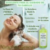 Florigan Shampoo Bergamota Florigan 1lt Crecimiento De Cabello Pack 2