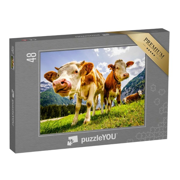 puzzleYOU: Puzzle 48 Piece "Curious Cows on the Eng Alm