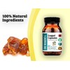 DR WAKDE'S Guggul Capsules (Mukul Myrrh, Commiphora Mukul, 60 Veg