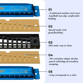 East top Harmonica Set, 7 Keys Diatonic Mouth Organ with Case, A, B, C, D, E, F, G, Professional, Bronze Reed, Polished Finish