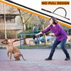 Dog Bungee Leash No Pull, Heavy Duty Dogs Bungee Lead
