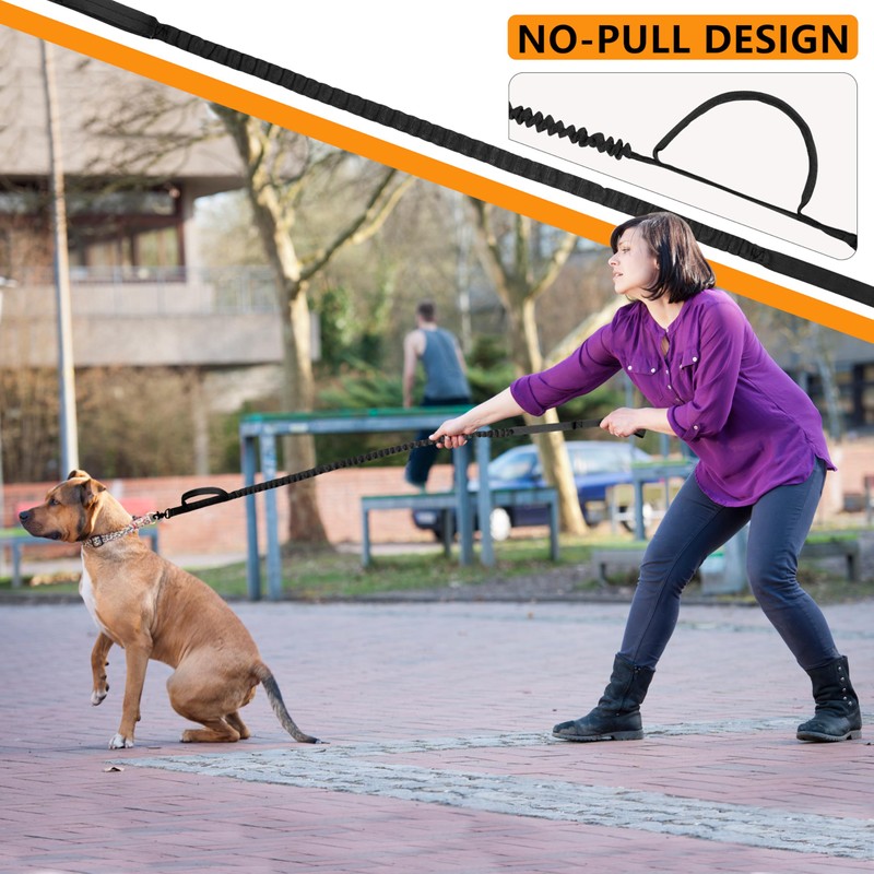 Dog Bungee Leash No Pull, Heavy Duty Dogs Bungee Lead