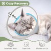 Cat Cone Collar Soft: Comfortable Waterproof Mesh Recovery Cone After